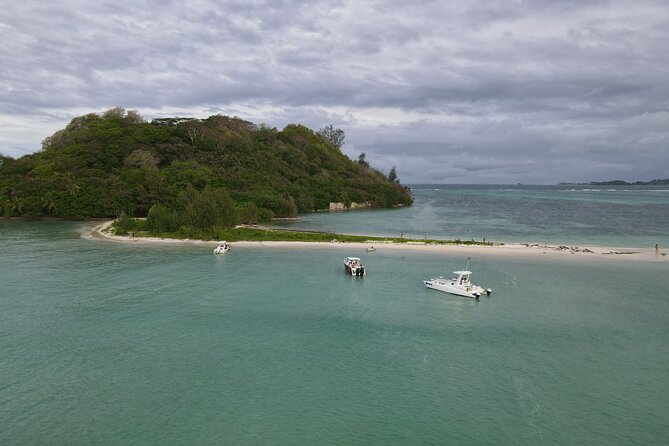 Reef Safari - Snorkeling, Fish Feeding & Lunch (Private Day Trip) - Lunch on Moyenne Island: private, filling, and actually well-rounded