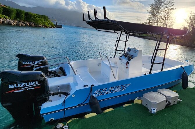 Reef Safari - Snorkeling, Fish Feeding & Lunch (Private Day Trip) - Price and value: when $920.61 per group makes sense
