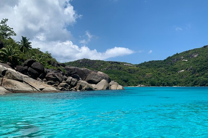 Reef Safari - Snorkeling, Fish Feeding & Lunch (Shared Day Trip) - Key Highlights You Should Know