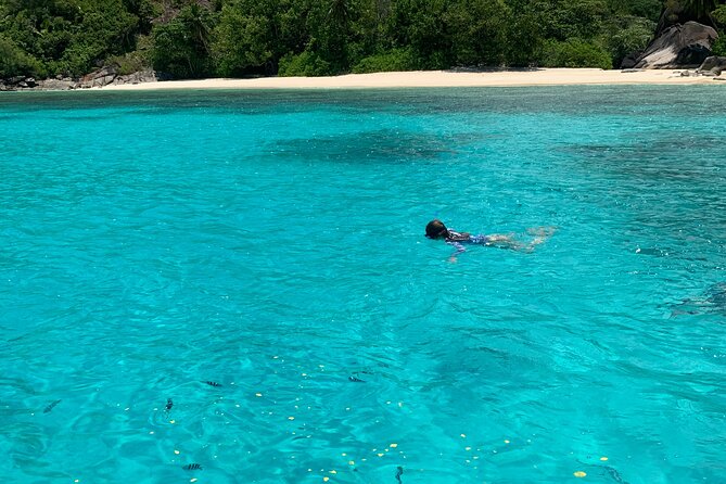 Reef Safari - Snorkeling, Fish Feeding & Lunch (Shared Day Trip) - The Eden Island Stop: A Quick Scenic Breather