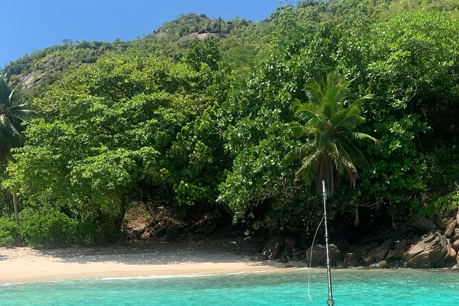 Reef Safari - Snorkeling, Fish Feeding & Lunch (Shared Day Trip) - Who This Trip Is Best For (and Who Should Rethink It)