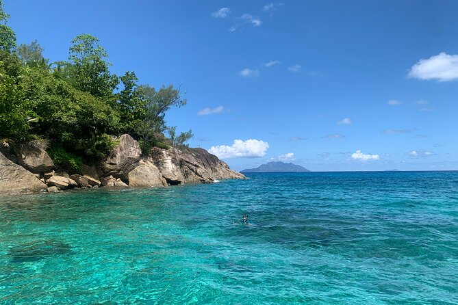 Reef Safari - Snorkeling, Fish Feeding & Lunch (Shared Day Trip) - Moyenne Island: Giant Tortoises and a 40-Minute Walk
