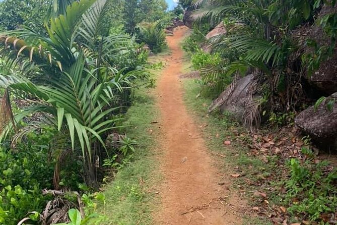 Relaxed hike to Anse Major | Mahe, Seychelles, Great Private Tour - Why Anse Major Trail feels like real Mahé