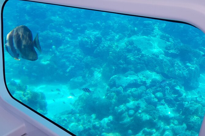 Semi Submarine Tour in Saint Anne Marine National Park - Key highlights worth aiming for