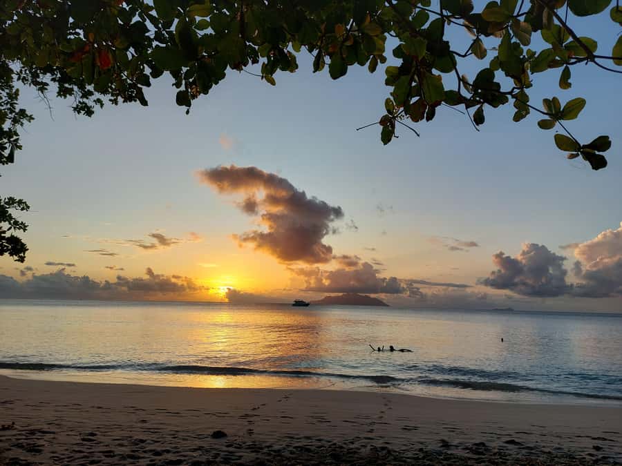 Seychelles: Best of Mahe Private Tour - Victoria Market and the Indian Temple, Start With Local Life