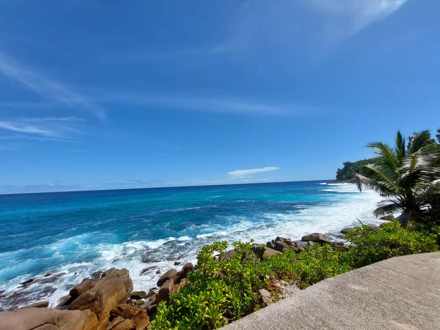 Seychelles: Best of Mahe Private Tour - What You’ll Likely Remember Most From This Day