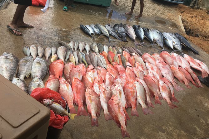 Seychelles Fishing - Key highlights at a glance