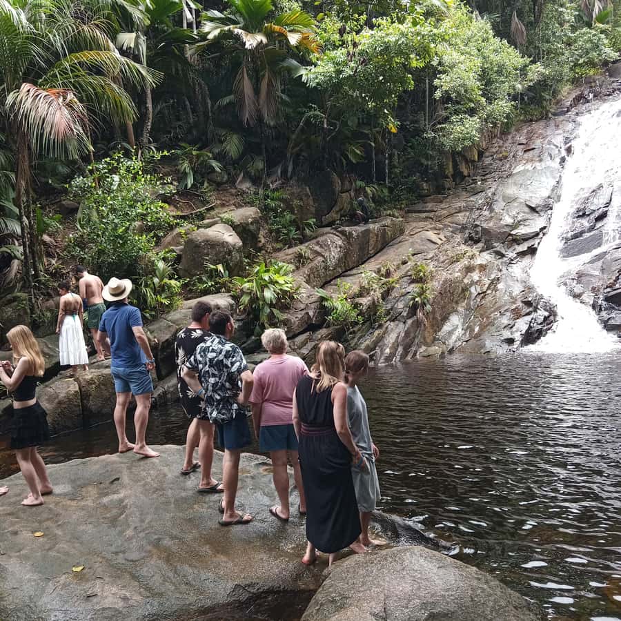 Seychelles: Full Day Private Tour in Mahe (1 to 5 Person) - The scenic drive along Sans Soucis Road and the Rochon Dam viewpoint
