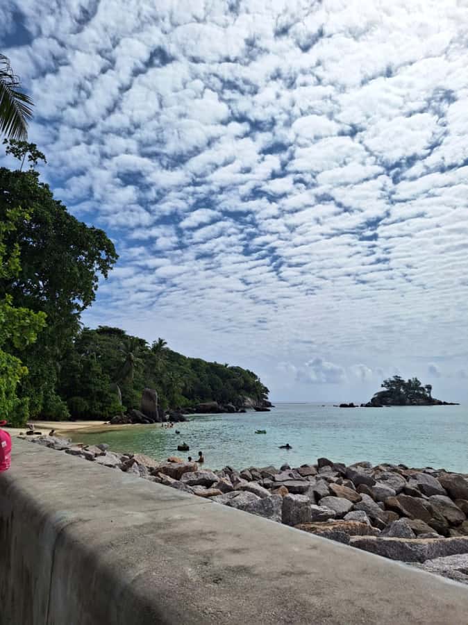 Seychelles: Full Day Private Tour in Mahe (1 to 5 Person) - Pickup from your hotel, airport, or cruise port (and why it matters)