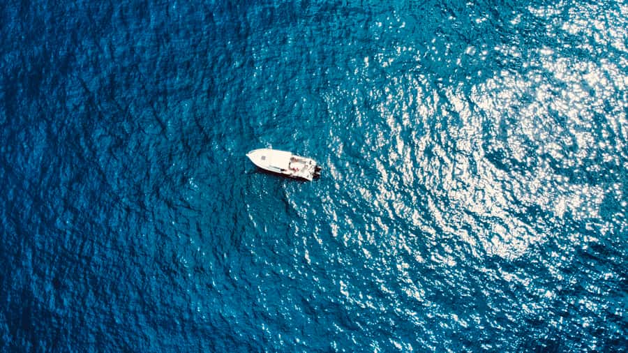 Seychelles: Guided Fishing Trip with Pickup and Equipment - Key things I’d circle before you book