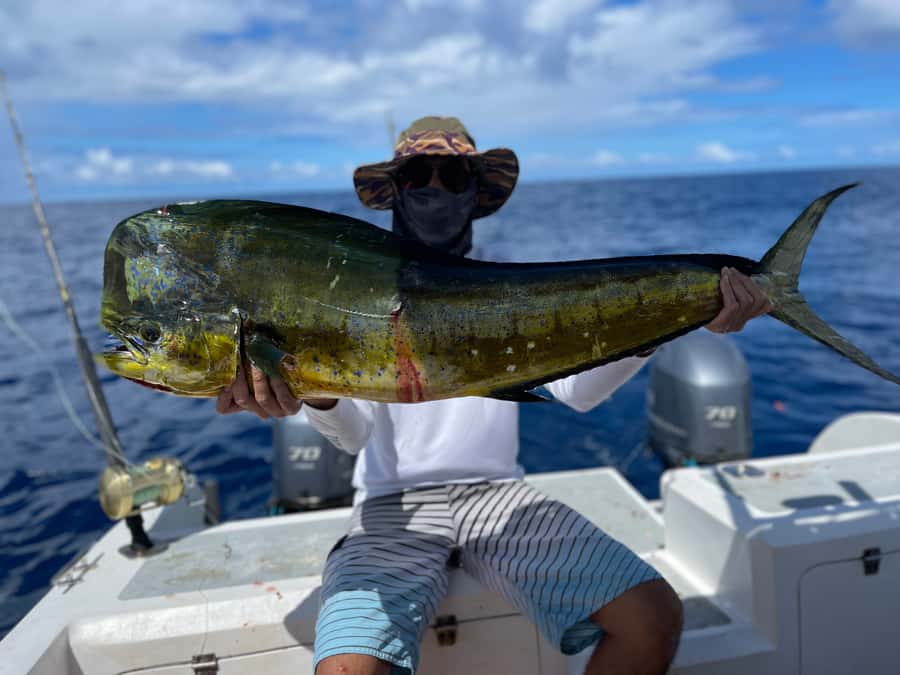 Seychelles: Guided Fishing Trip with Pickup and Equipment - Why GrandAnse Mahé fishing feels different than a generic charter
