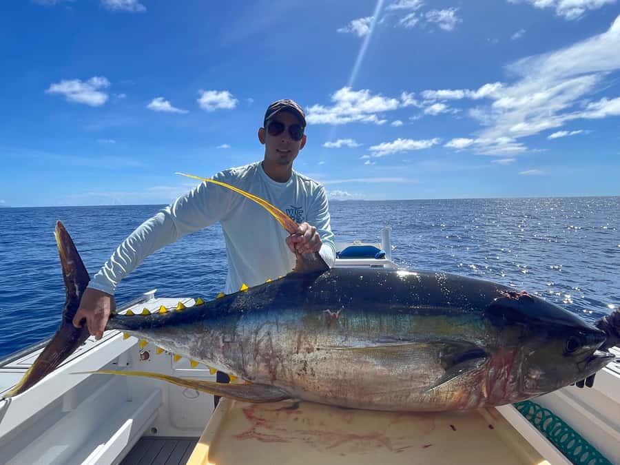 Seychelles: Guided Fishing Trip with Pickup and Equipment - Pickup, timing, and the part people forget to plan