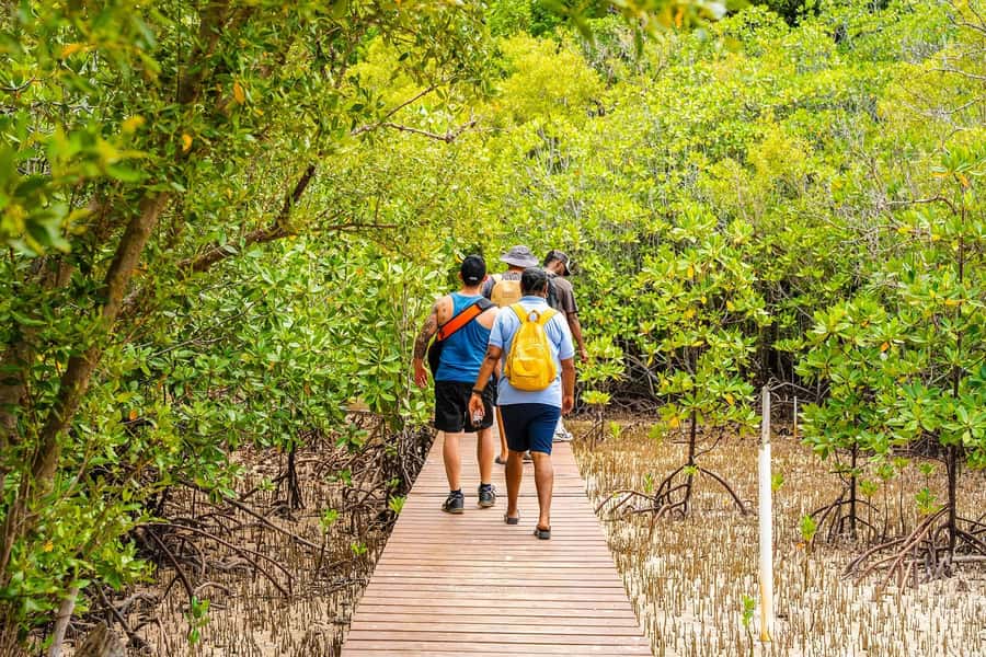 Seychelles: St Pierre and Curieuse Catamaran Tour with Lunch - Pickup, Meeting Points, and the One Logistics Tip That Saves Headaches