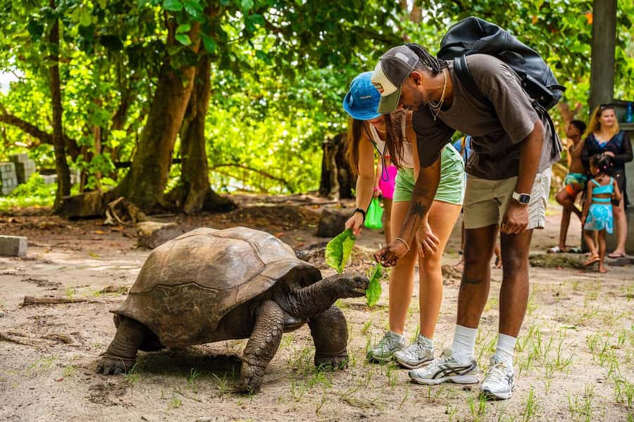 Seychelles: St Pierre and Curieuse Catamaran Tour with Lunch - Who This Tour Fits Best