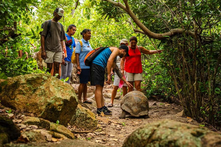 Seychelles: St Pierre and Curieuse Catamaran Tour with Lunch - Should You Book This St Pierre and Curieuse Catamaran Tour?