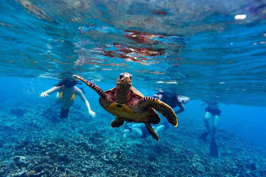 Sister, Coco, and Felicite Island: Seychelles Catamaran Tour - Sister, Coco, and Félicité: What You Actually Get in 6 to 8 Hours