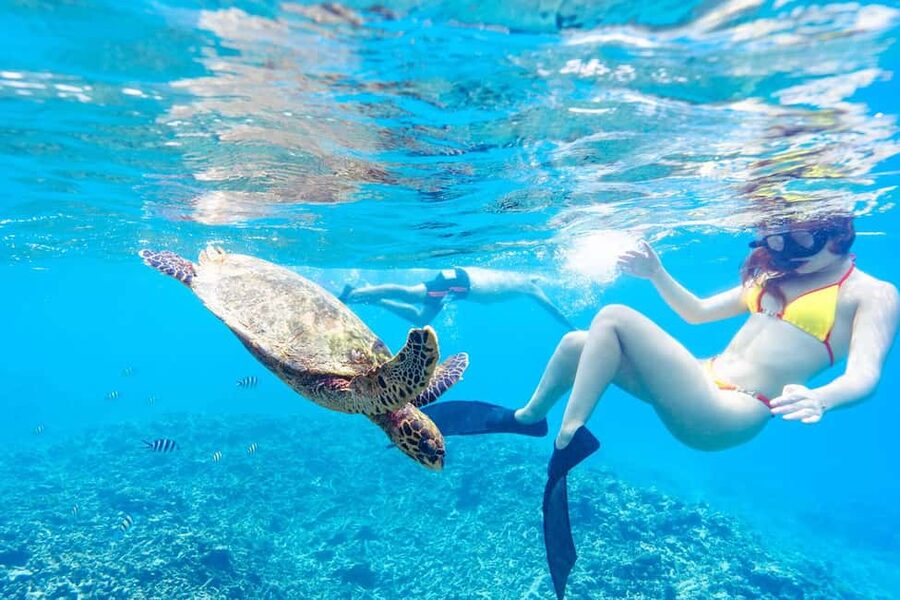 Sister, Coco, and Felicite Island: Seychelles Catamaran Tour - Sister Island Stop: Private-Feel Beach Time and Clear Water