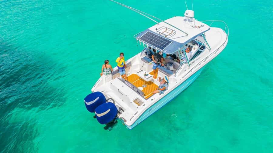 Snorkeling St-Pierre Marine Park and Anse Petite Cour - St-Pierre Marine Park: a one-hour snorkel over coral and tropical fish