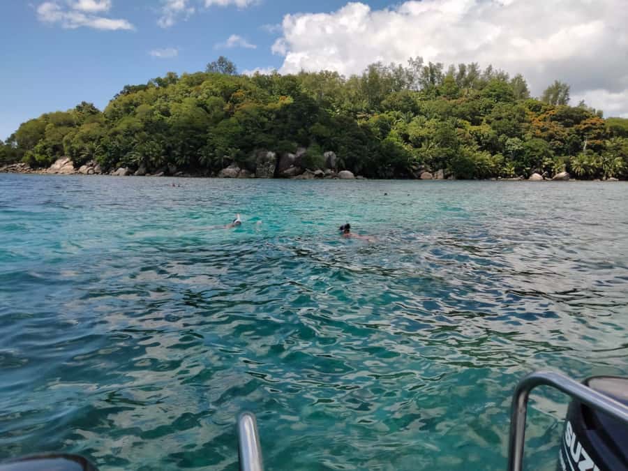 St. Anne Marine Park, Moyenne & Cerf Island Tour with Lunch - Snorkeling reality check: what to bring and how to get the best view