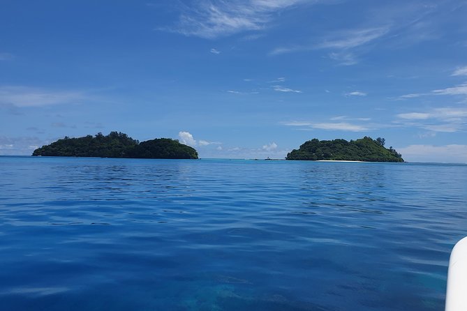 St Anne Marine Park & Moyenne Island, Creole Lunch (Private Boat) - Snorkeling, swimming, and feeding fish: getting the most out of your time