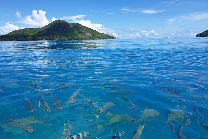 St Anne Marine Park & Moyenne Island, Creole Lunch (Private Boat) - FAQ