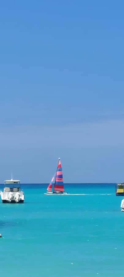 Tour Mahe Seychelles your way. Victoria national park beache - What makes the guiding feel different with Sabrina