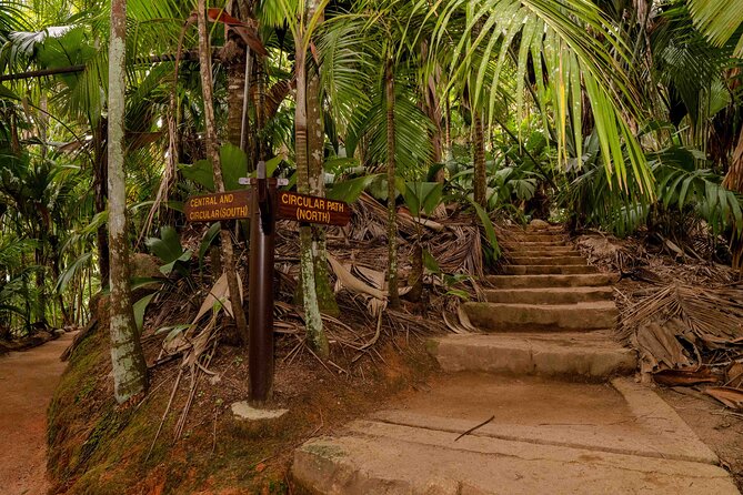 Vallee de Mai Tour (From Praslin) - Entry fees covered, transfers included: value in the real math