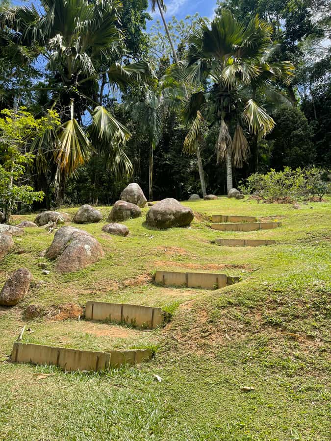 Victoria: Seychelles Mahe Island Tour - Key things that make this Mahe Island tour work