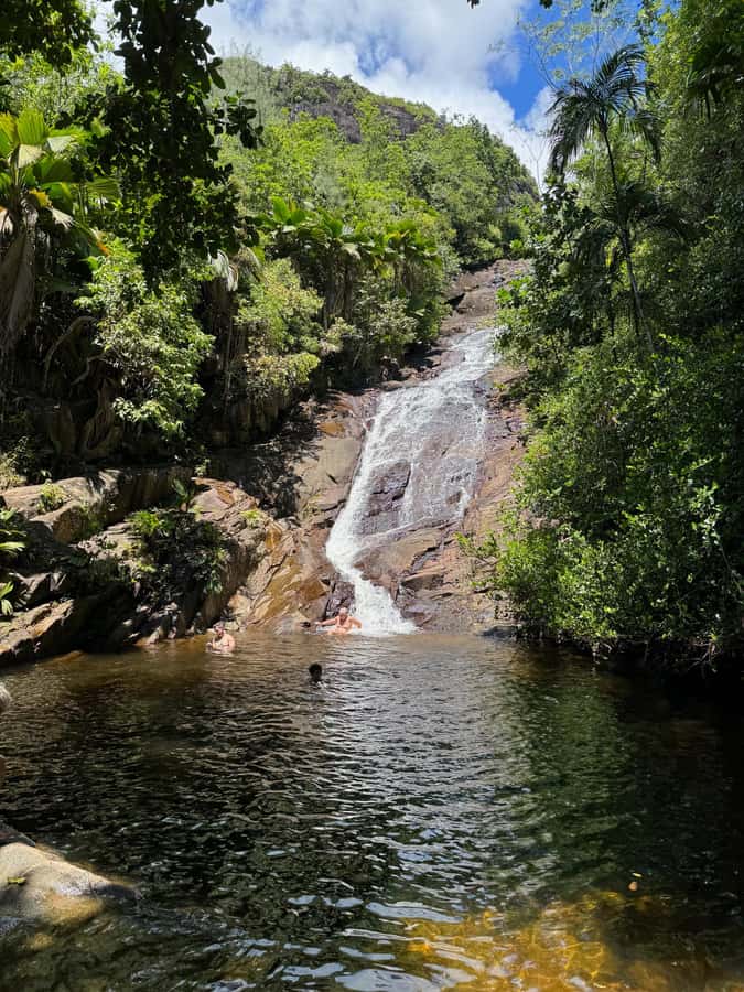 Victoria: Seychelles Mahe Island Tour - Shopping and markets without turning your day into errands