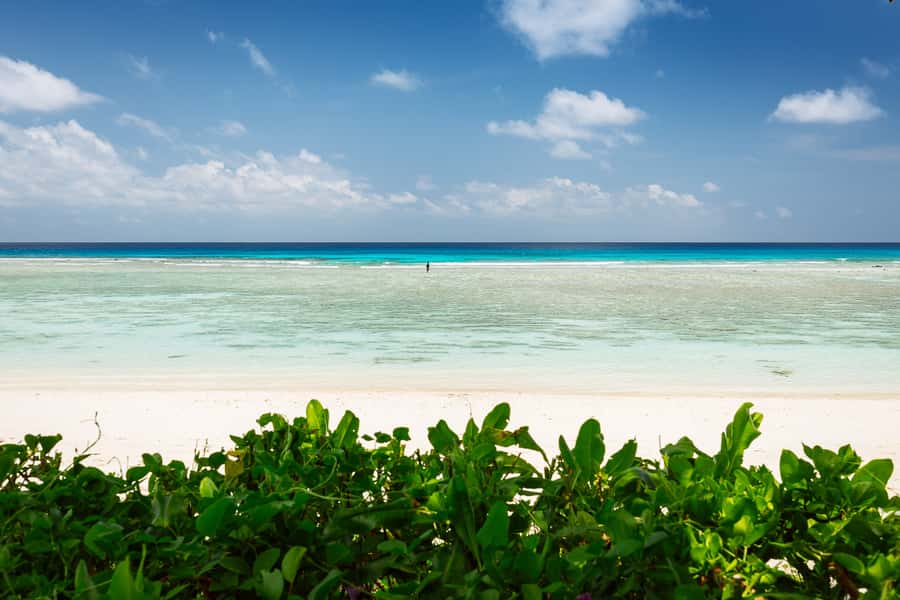 Victoria: Seychelles Mahe Island Tour - Price and value: $162 per group up to 3