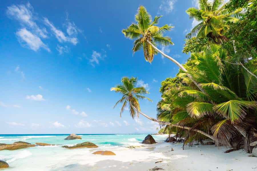 Victoria: Seychelles Mahe Island Tour - Pickup and drop-off that makes cruise days and early starts easier